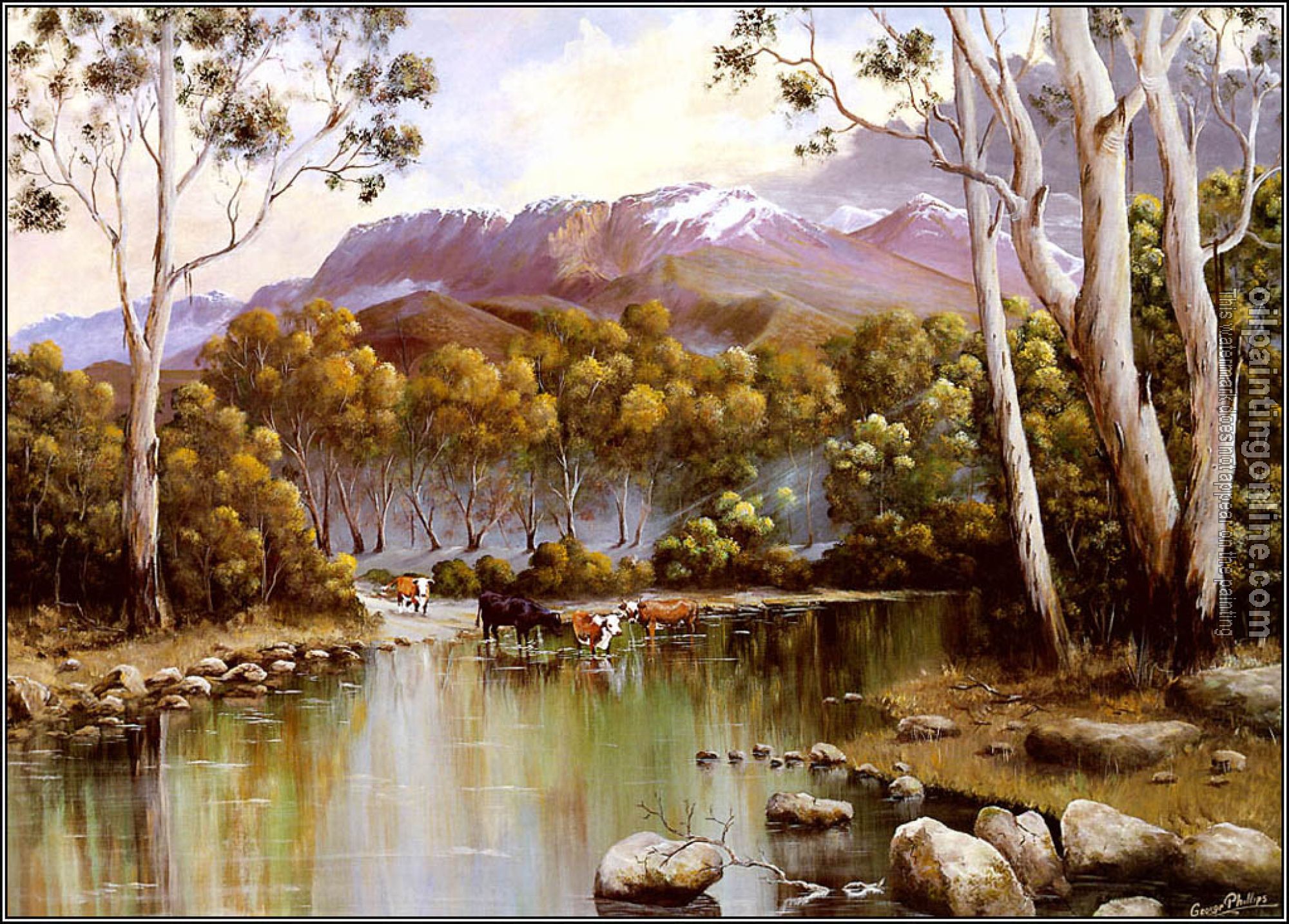 George Phillips - Australian Bush